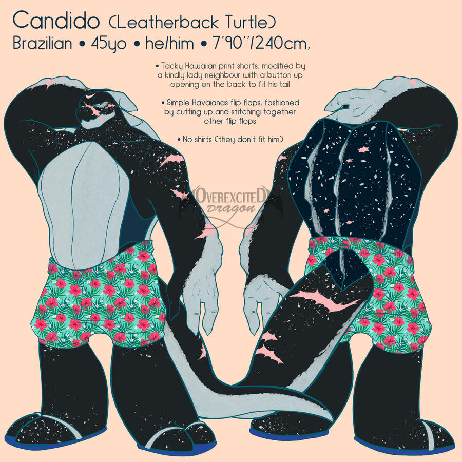 Candido - original character